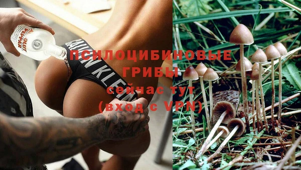 соль ск Балахна