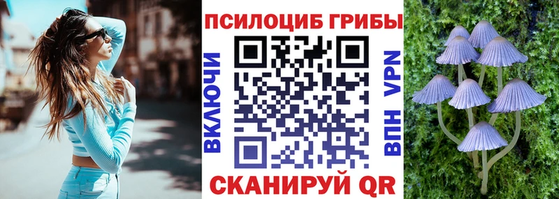 ссылка на мегу ONION  Гатчина  Галлюциногенные грибы MAGIC MUSHROOMS  как найти  
